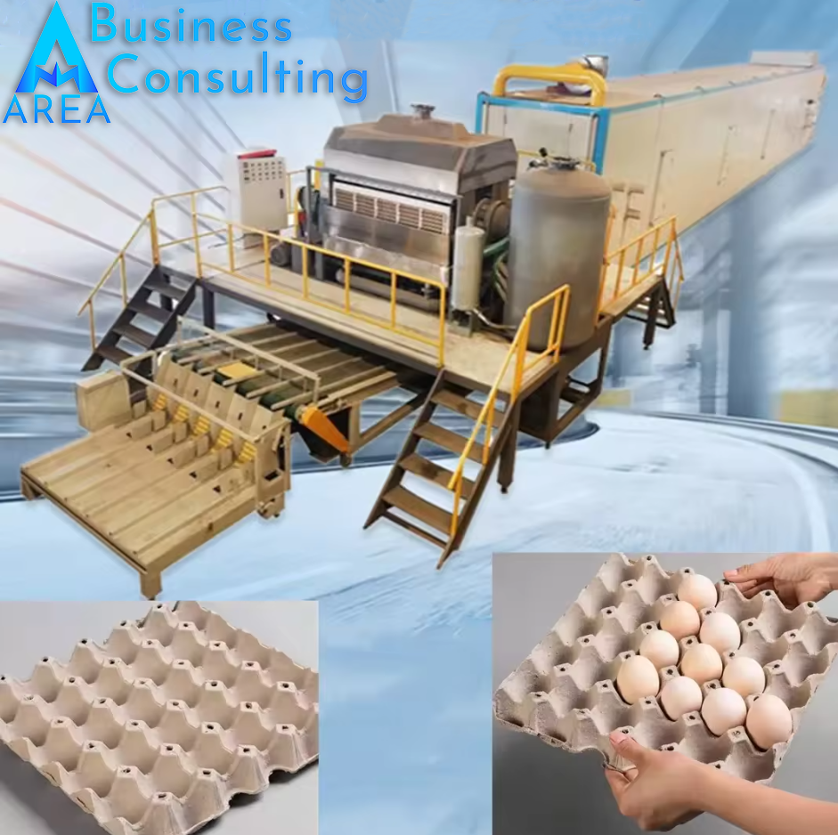 Producție ambalaje pentru ouă din hârtie reciclabilă